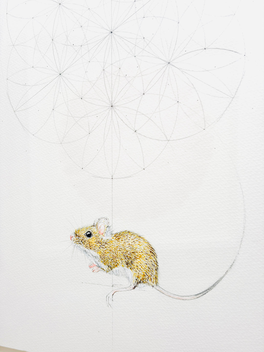 WOODLAND SPiRiTS - WOODLAND MOUSE