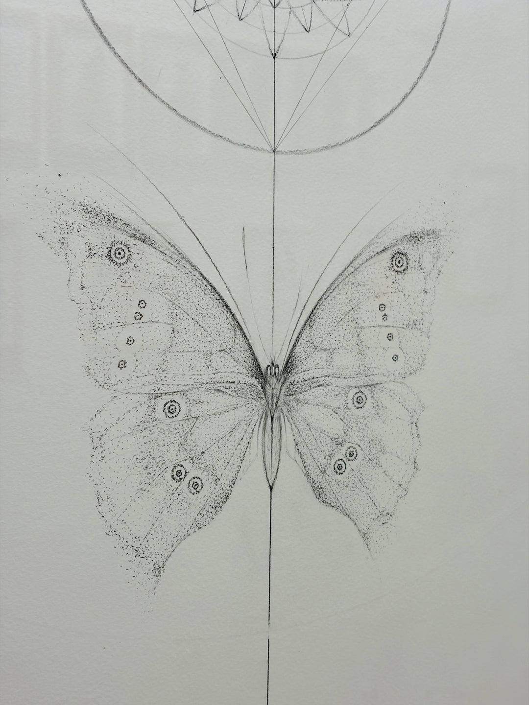 THE POLLiNATORS