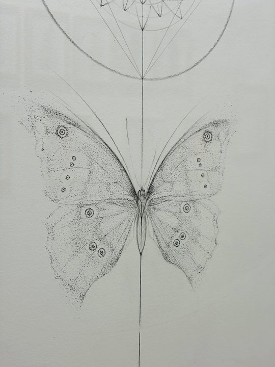 THE POLLiNATORS