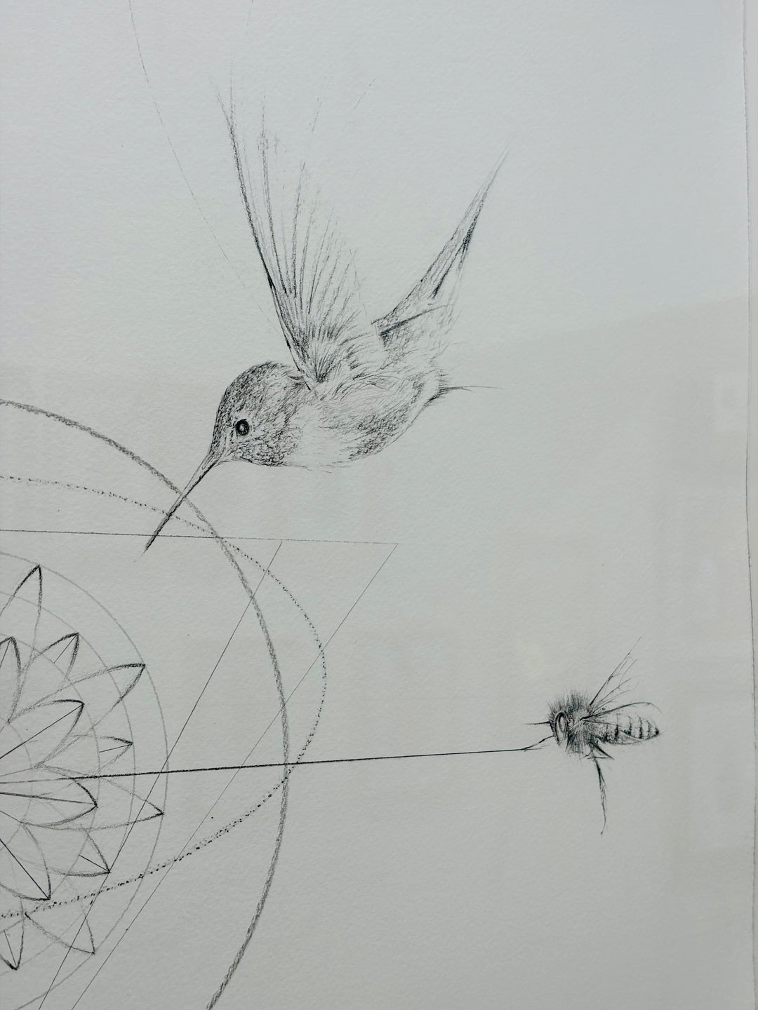 THE POLLiNATORS