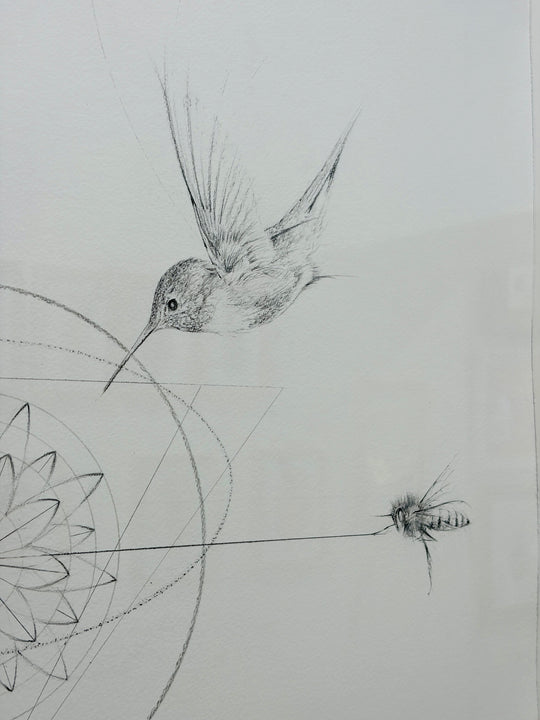 THE POLLiNATORS