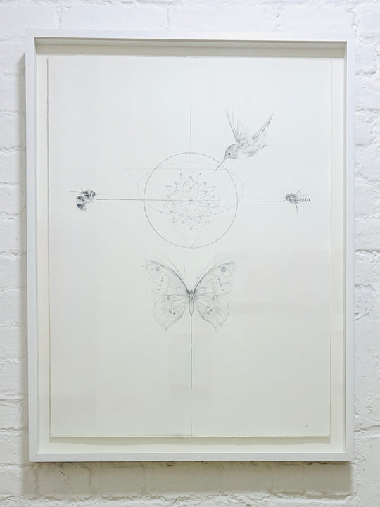 THE POLLiNATORS