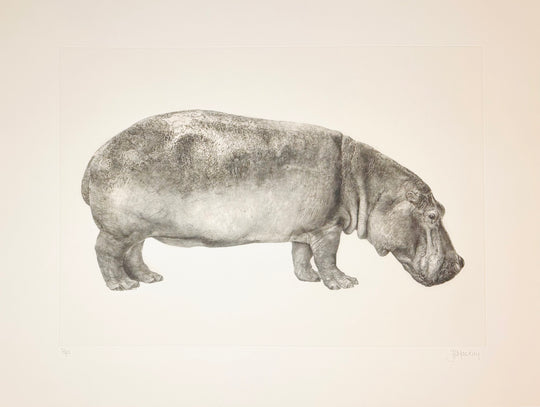 UNTiTLED (HiPPO)