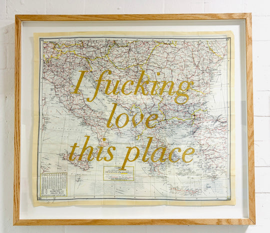 i FUCKiNG LOVE THiS PLACE - EMBROiDERED MAP