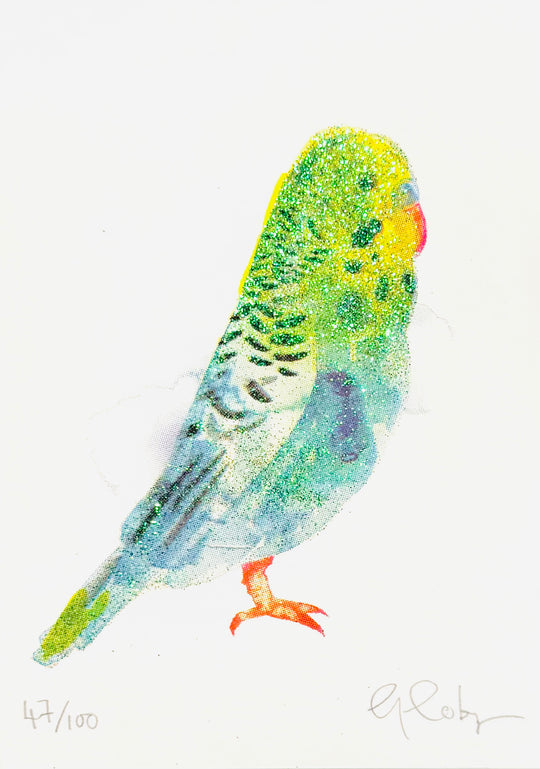 MiNi BiRDS