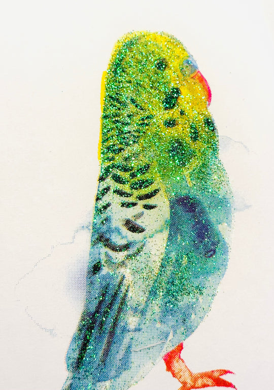 MiNi BiRDS