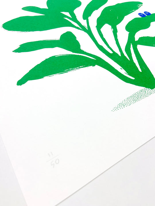 LiTTLE PLANT (GREEN AND BLUE)