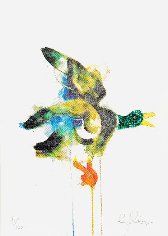 MiNi BiRDS