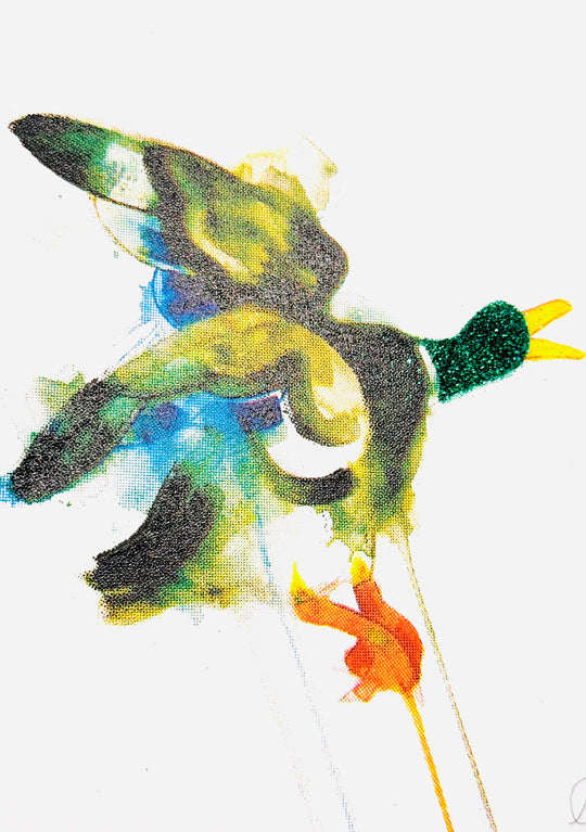 MiNi BiRDS