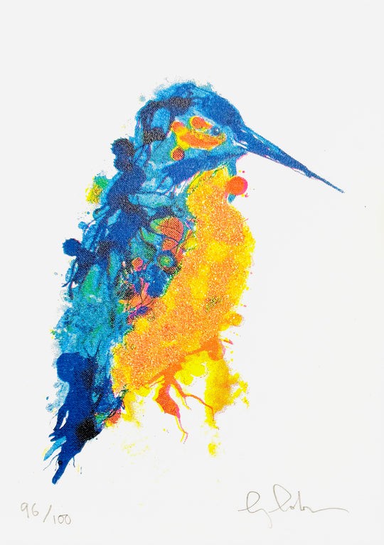 MiNi BiRDS