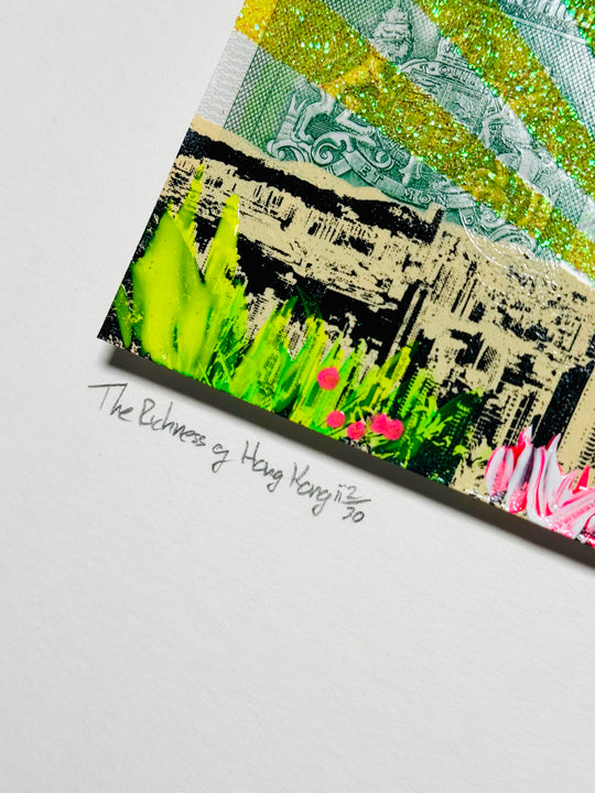 THE RiCHNESS OF HONG KONG DOLLARS