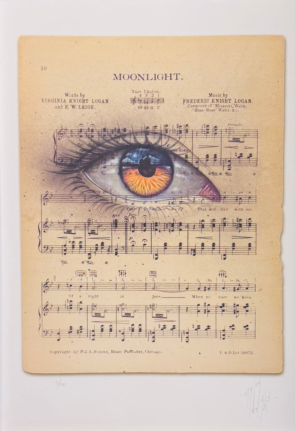 MOONLiGHT