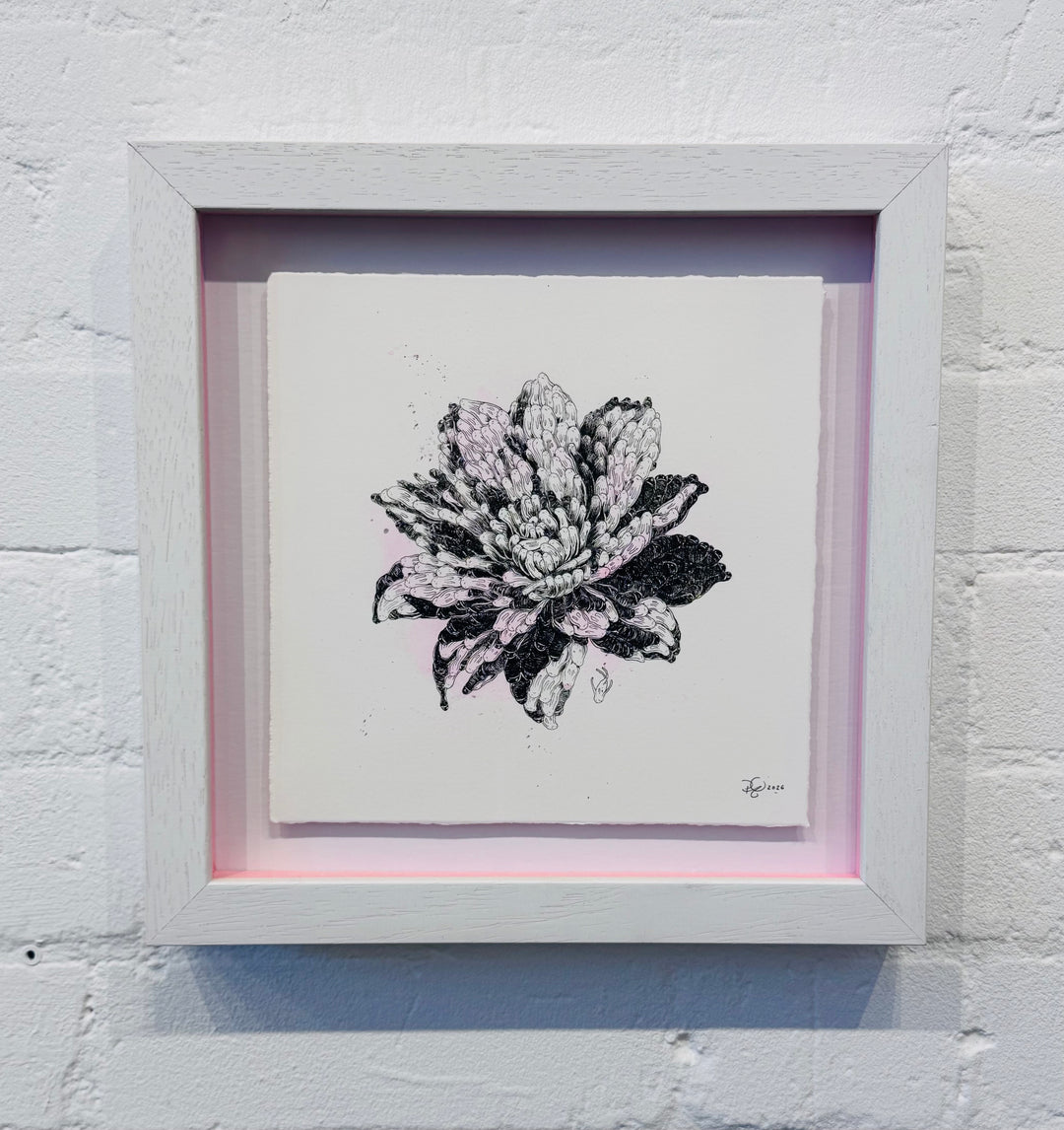 FLOWER STUDiES
