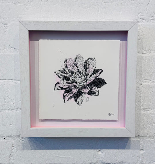 FLOWER STUDiES