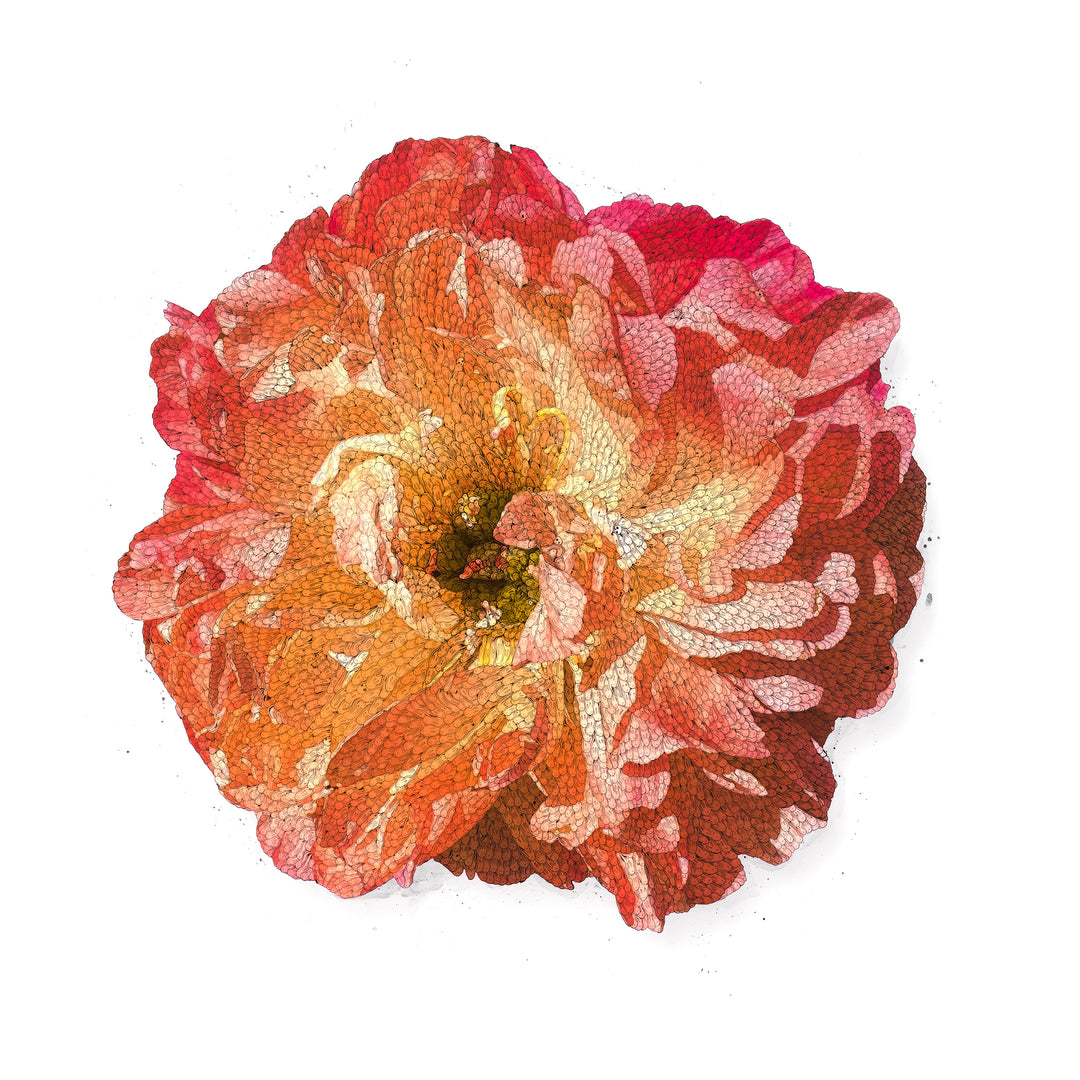 LOST FLOWER