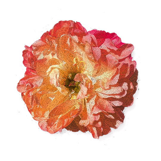 LOST FLOWER