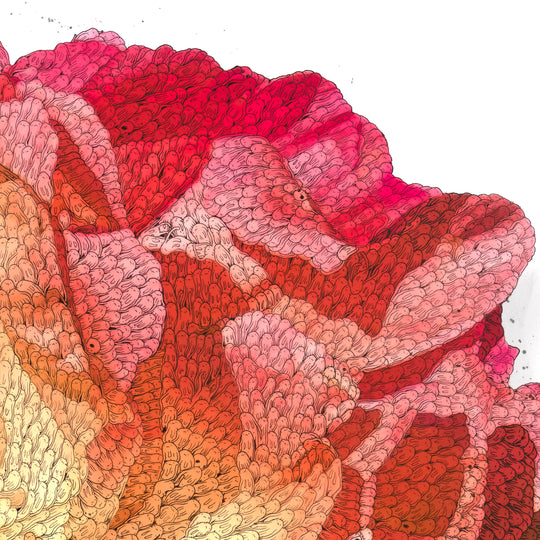 LOST FLOWER