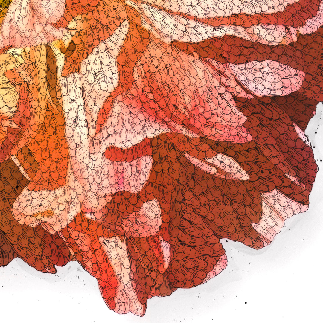 LOST FLOWER