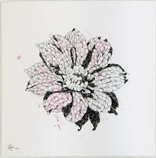 FLOWER STUDiES