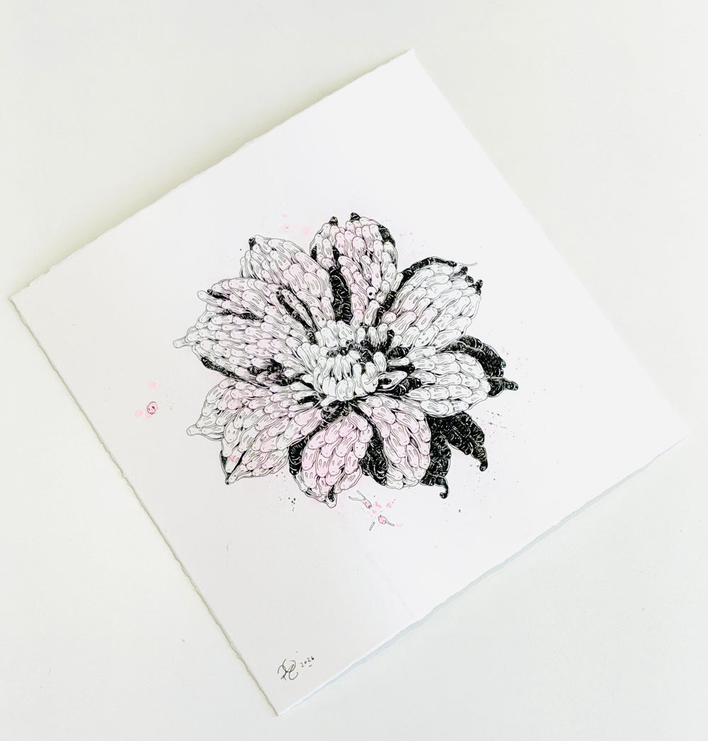 FLOWER STUDiES