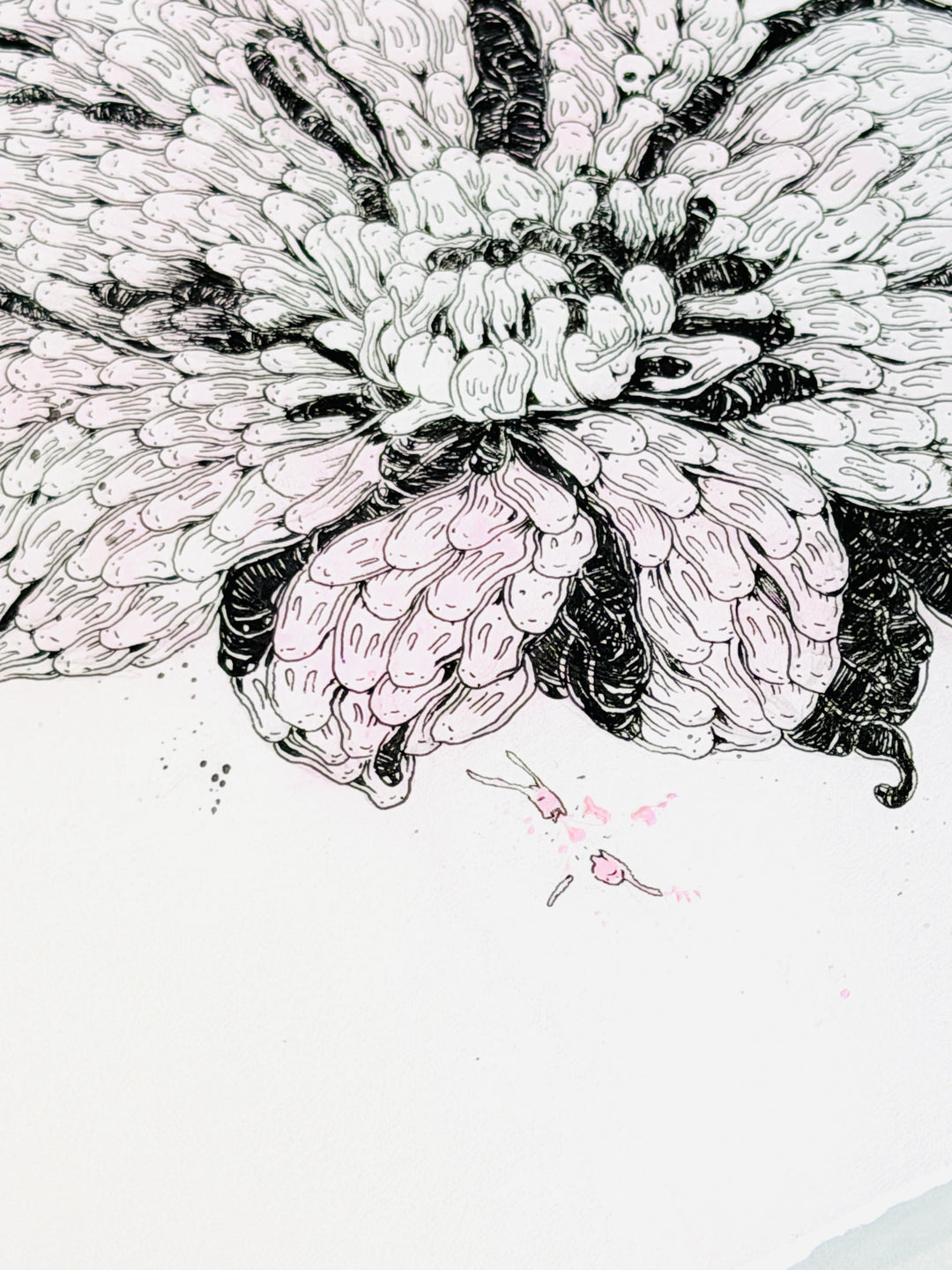 FLOWER STUDiES