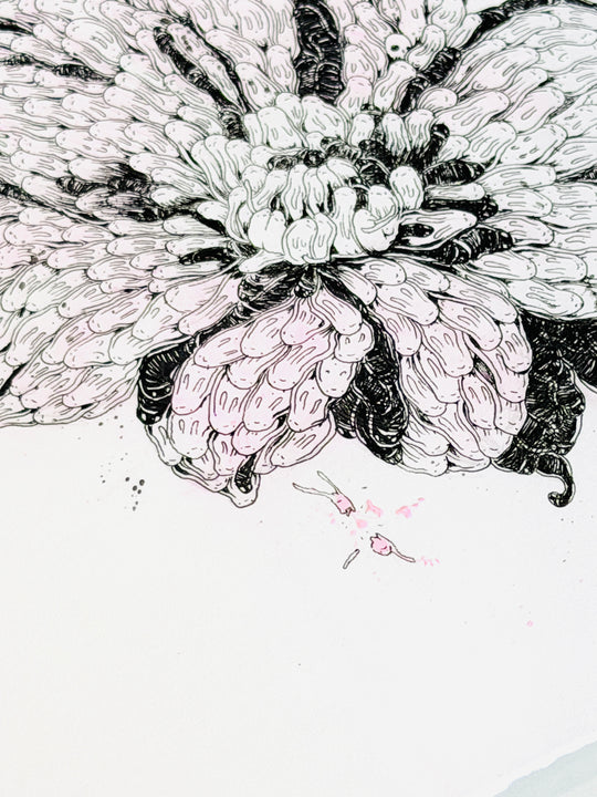 FLOWER STUDiES