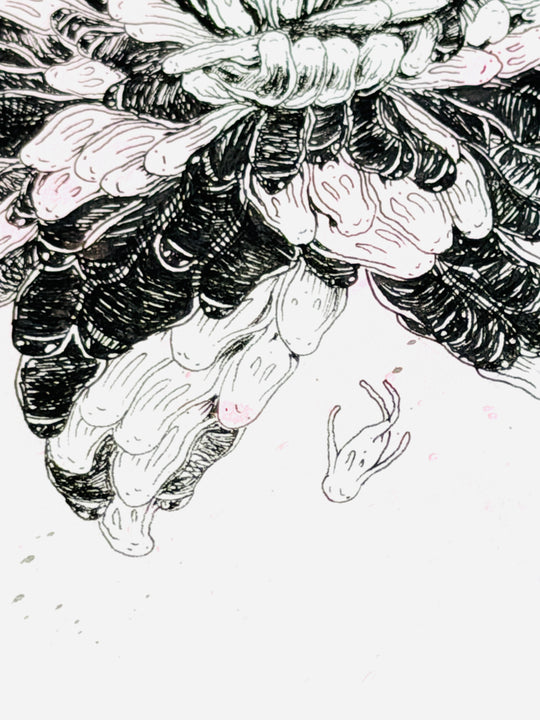 FLOWER STUDiES