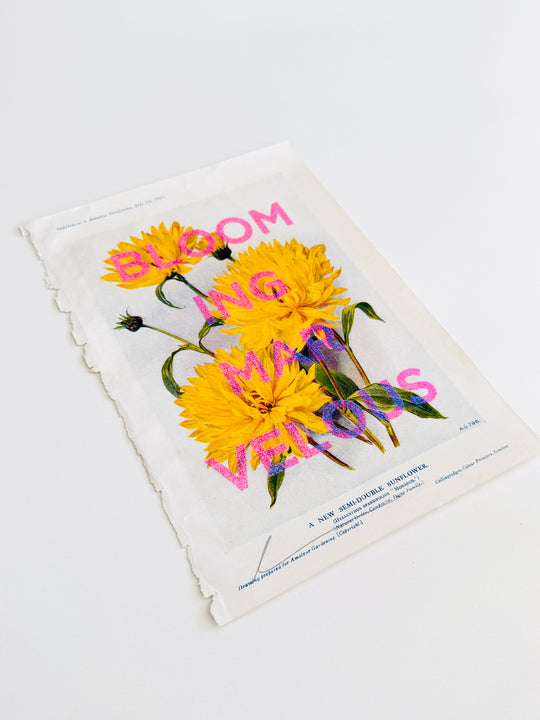 BLOOMiNG MARVELOUS
