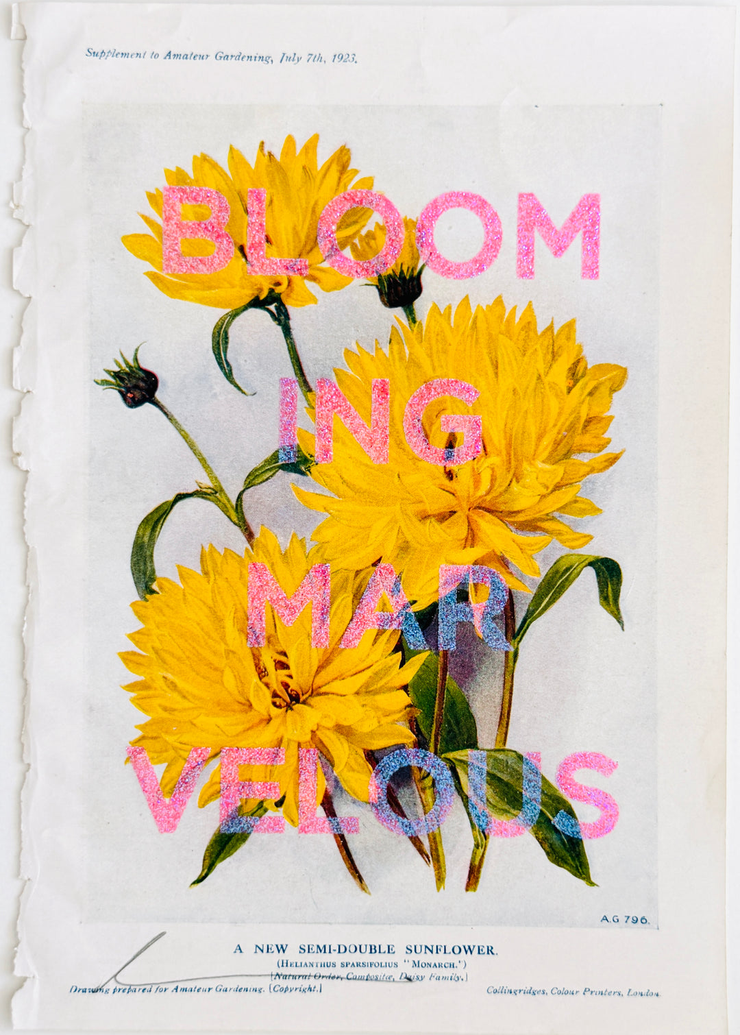 BLOOMiNG MARVELOUS