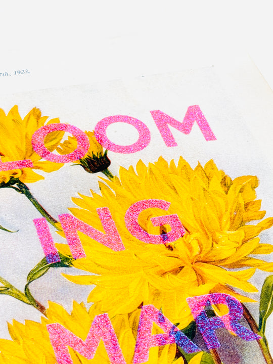 BLOOMiNG MARVELOUS