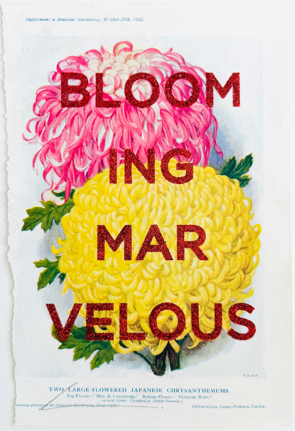 BLOOMiNG MARVELOUS
