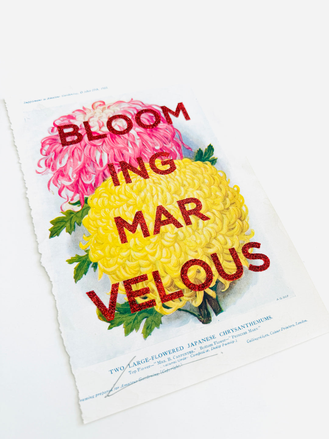 BLOOMiNG MARVELOUS