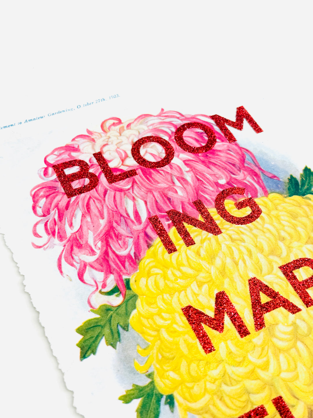BLOOMiNG MARVELOUS