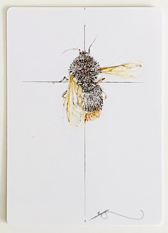 TREE BUMBLE BEES