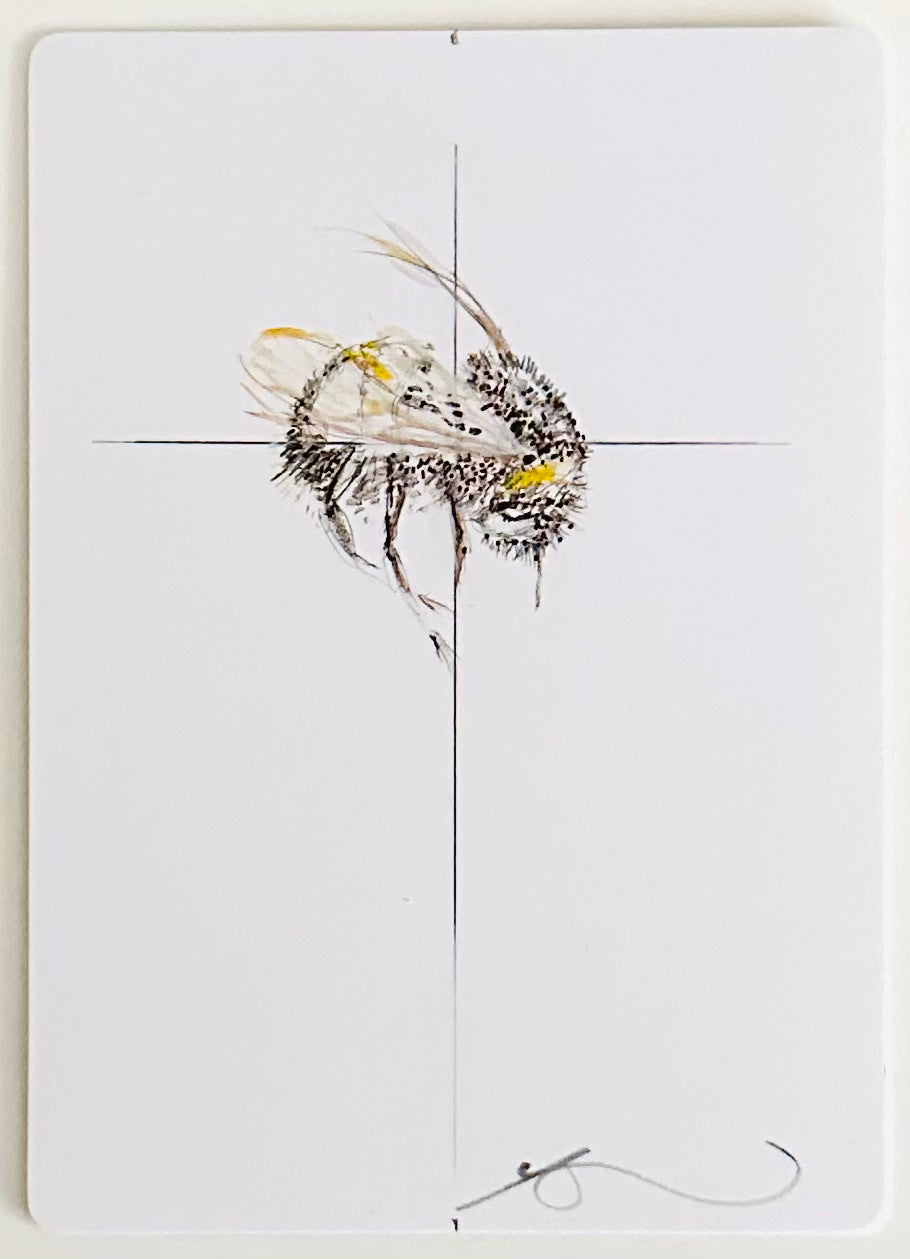 TREE BUMBLE BEES
