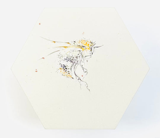 BEE HEXAGONS