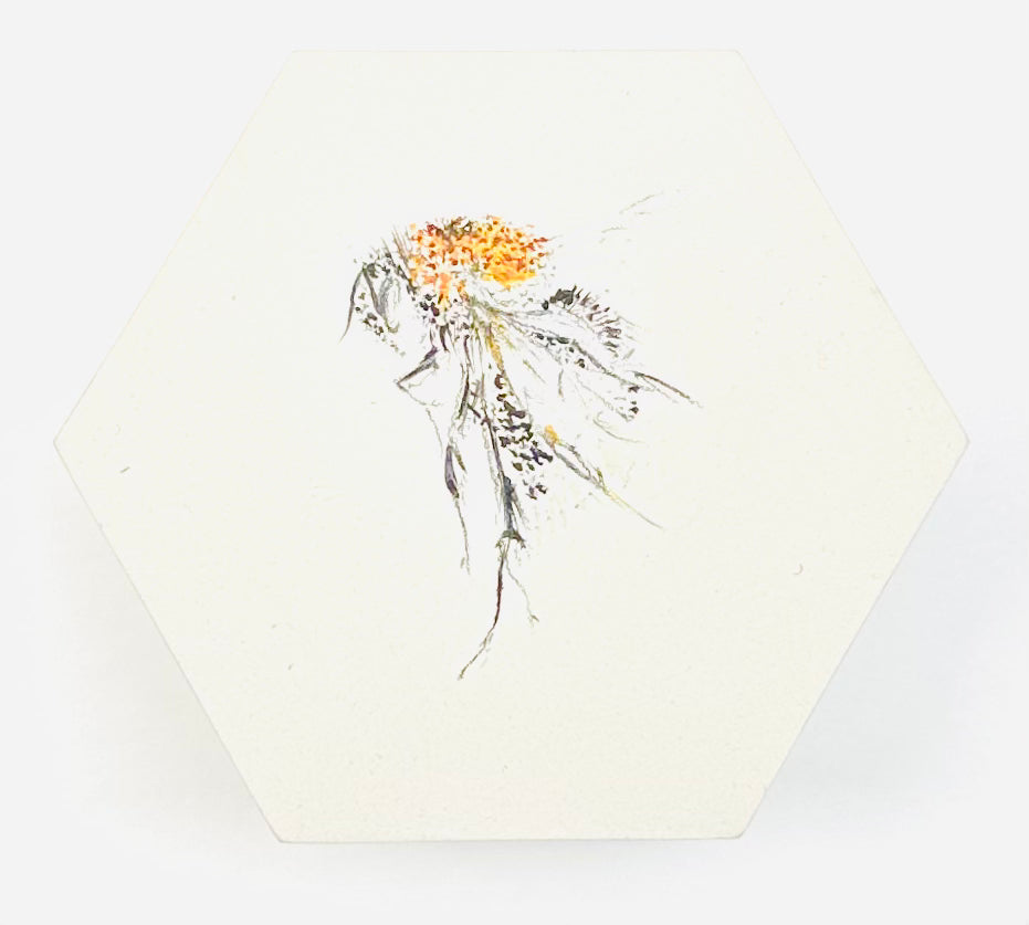 BEE HEXAGONS