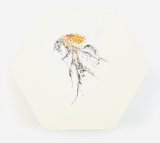 BEE HEXAGONS