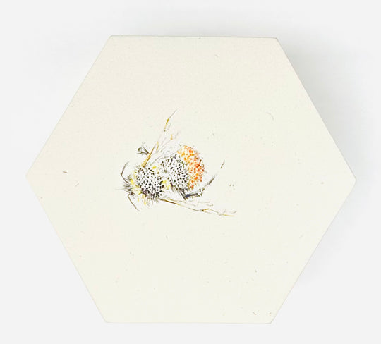 BEE HEXAGONS