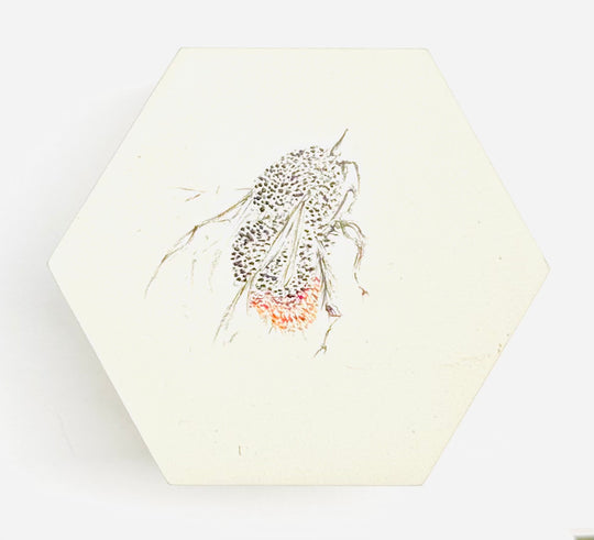 BEE HEXAGONS