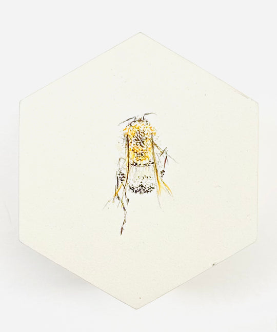 BEE HEXAGONS