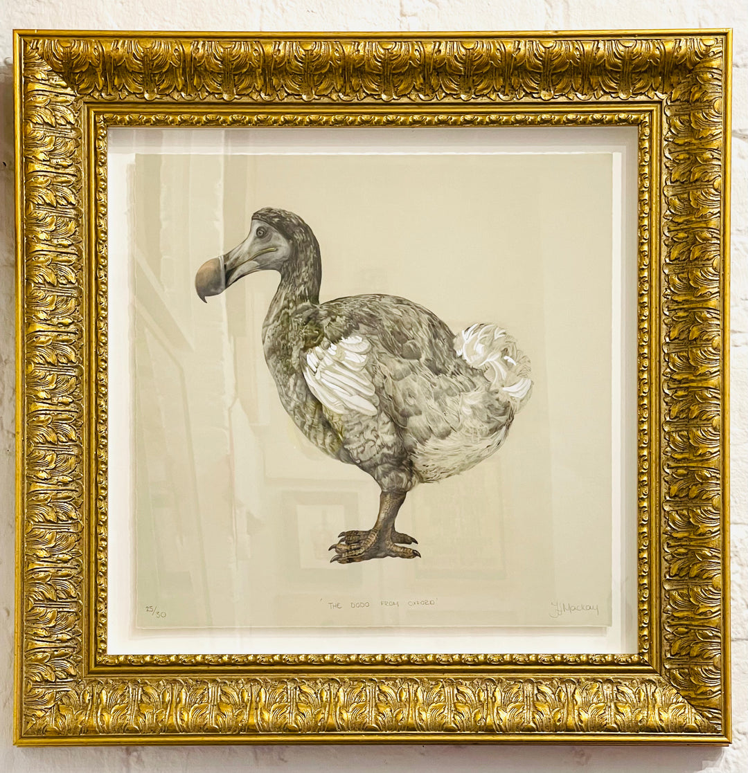 THE DODO FROM OXFORD