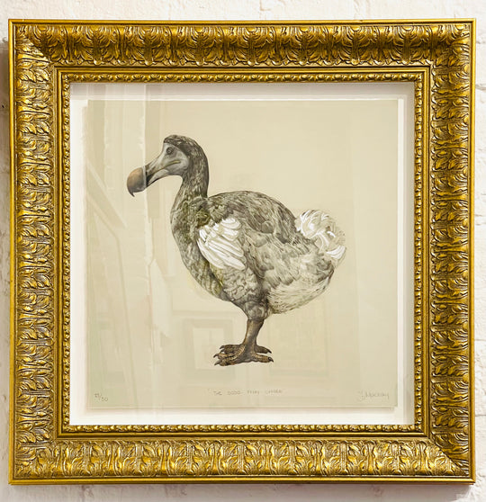THE DODO FROM OXFORD