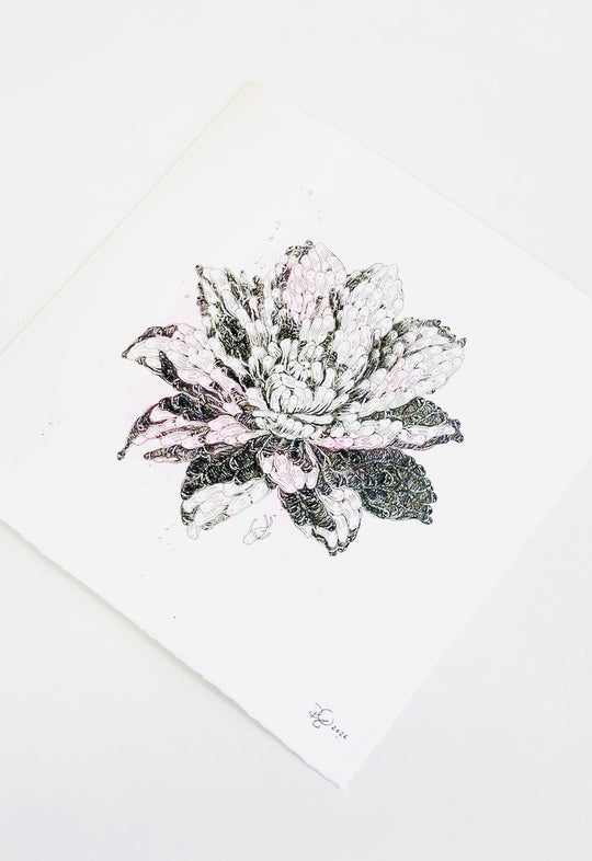 FLOWER STUDiES