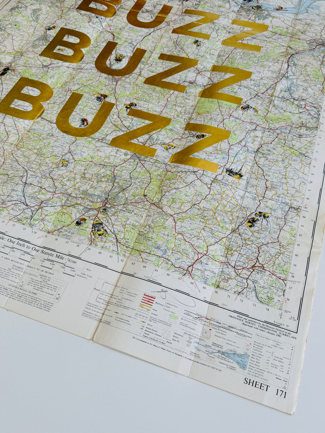BUZZ BUZZ BUZZ