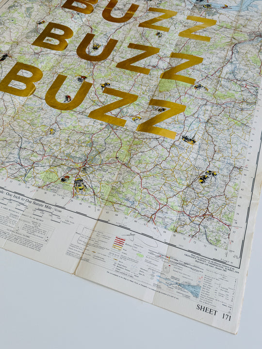 BUZZ BUZZ BUZZ