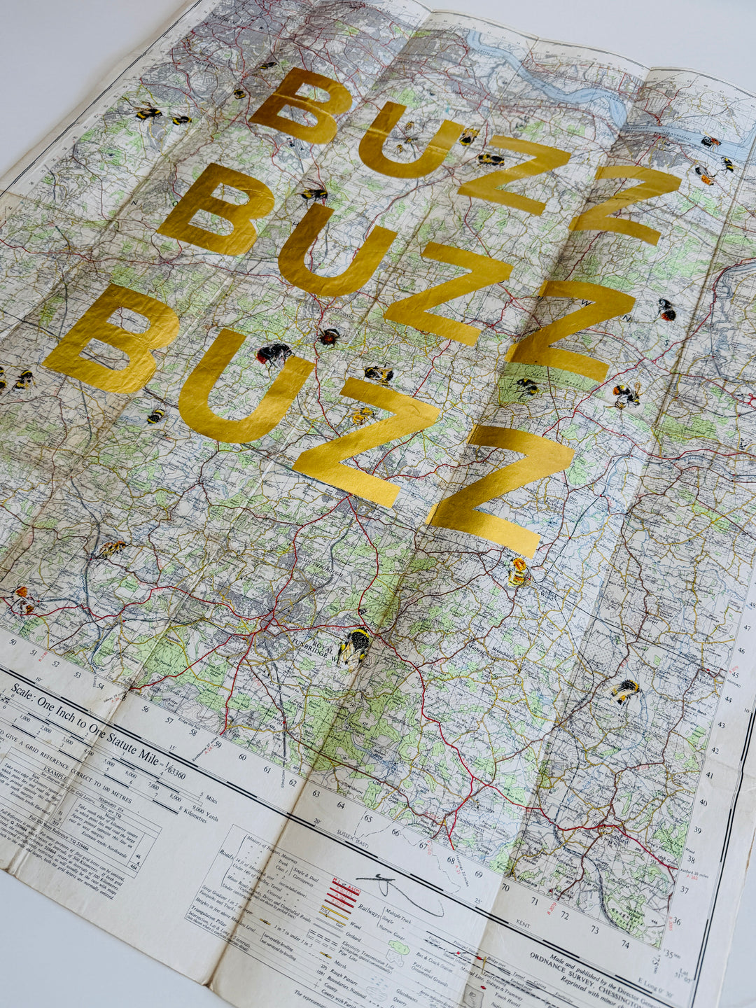 BUZZ BUZZ BUZZ