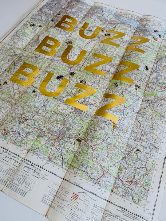 BUZZ BUZZ BUZZ
