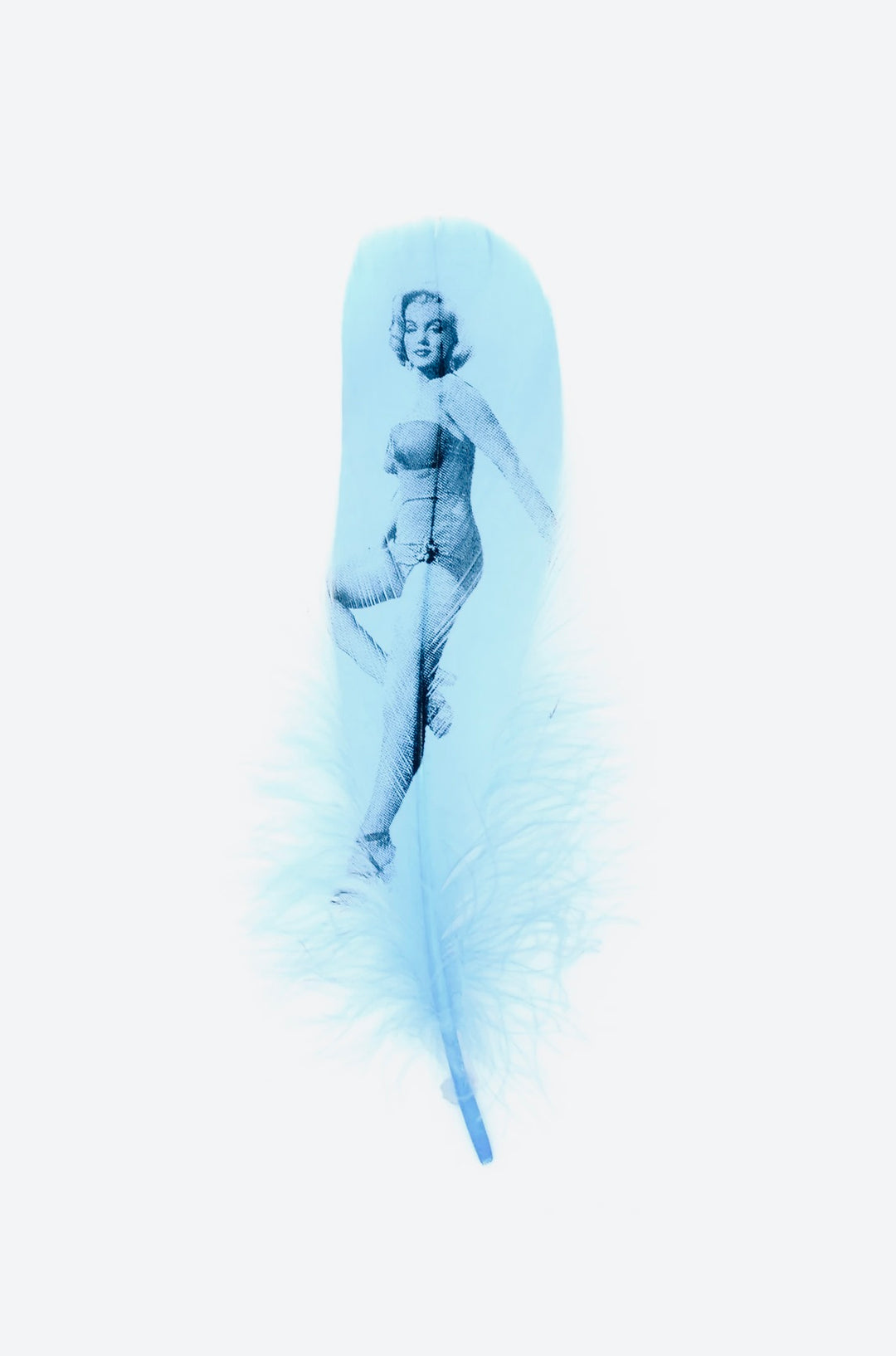 SiRENS