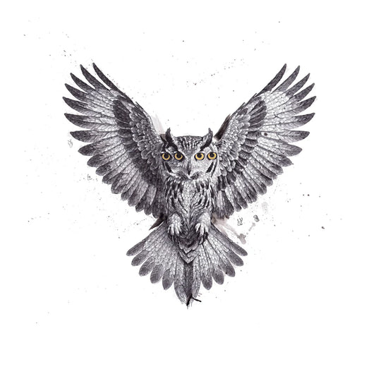 THE SEER